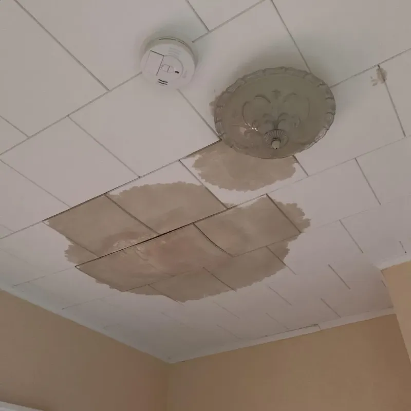 Ceiling Water Damage Repair in Algoma, WI