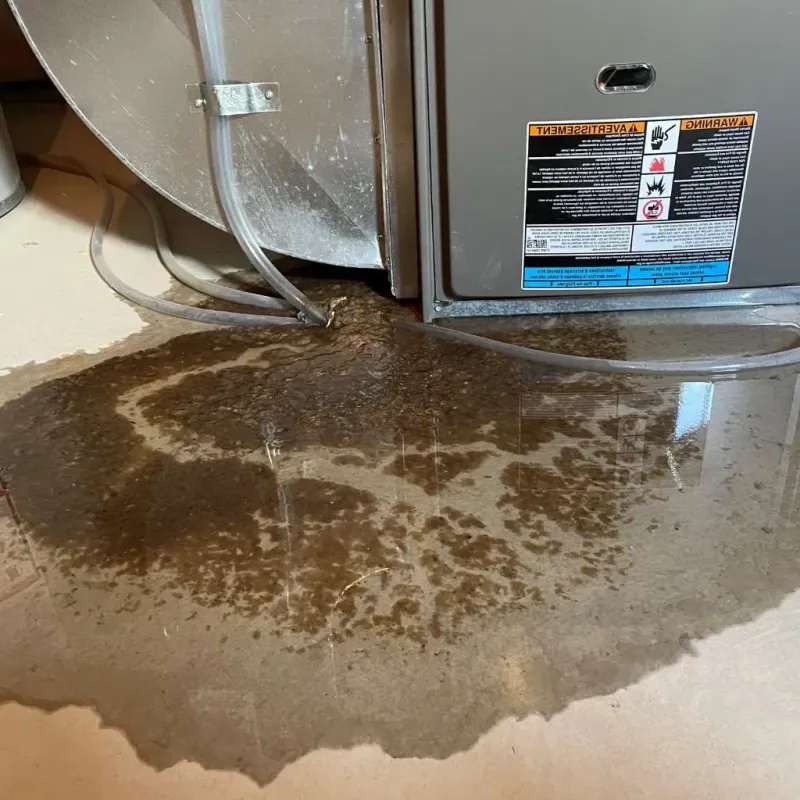 Pipe Burst and Leak Restoration in Algoma, WI