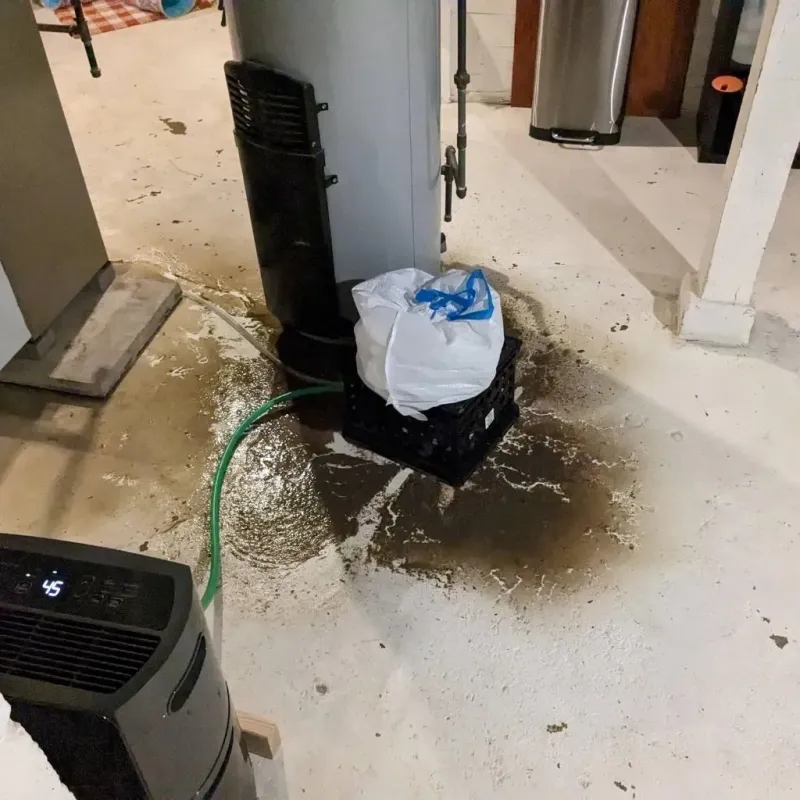Sewage Backup Cleanup Service in Algoma, WI
